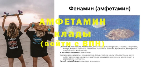 прущие грибы Гусиноозёрск