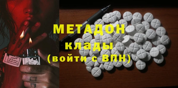 прущие грибы Гусиноозёрск