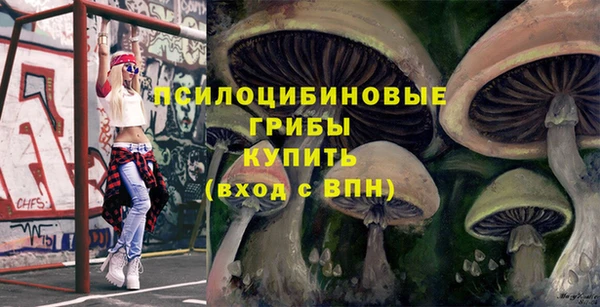 а пвп мука Гусь-Хрустальный