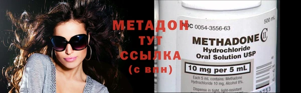 прущие грибы Гусиноозёрск