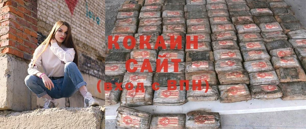 прущие грибы Гусиноозёрск