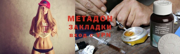 прущие грибы Гусиноозёрск