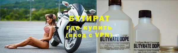 прущие грибы Гусиноозёрск