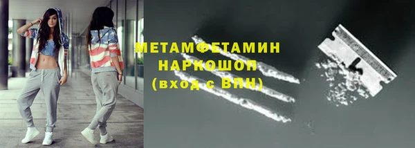 прущие грибы Гусиноозёрск