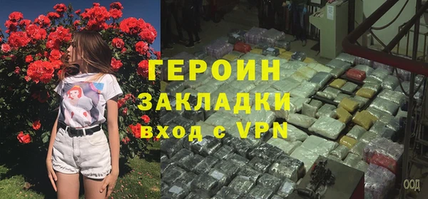прущие грибы Гусиноозёрск