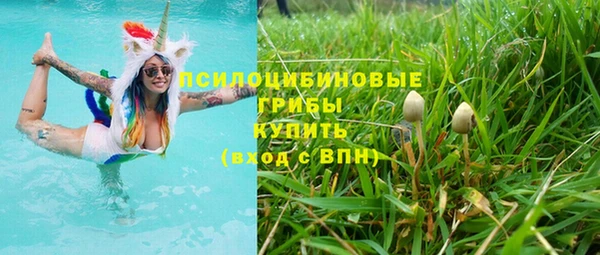 MESCALINE Гусев