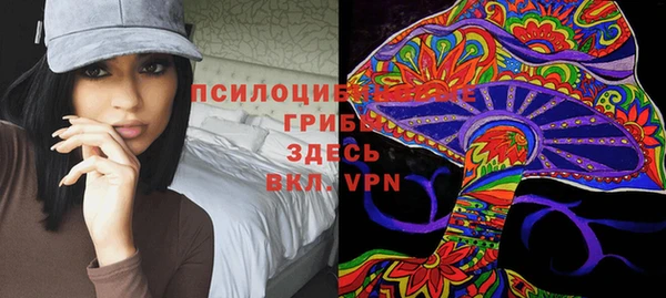 прущие грибы Гусиноозёрск