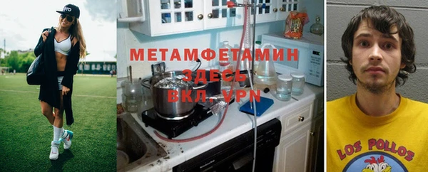 прущие грибы Гусиноозёрск