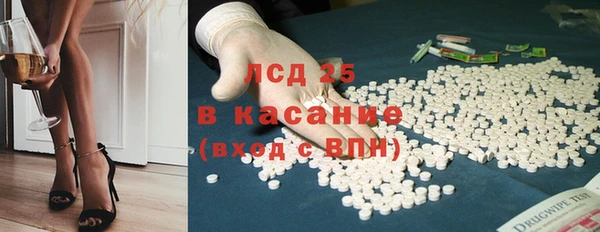 прущие грибы Гусиноозёрск