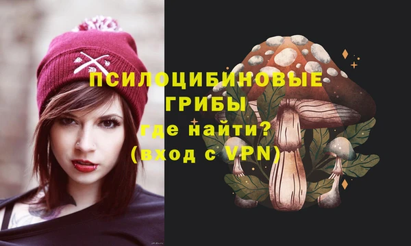а пвп мука Гусь-Хрустальный