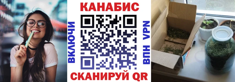 Купить где  Дорогобуж  Конопля OG Kush 